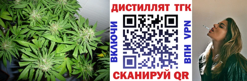 Купить где  Темников  ТГК гашишное масло 